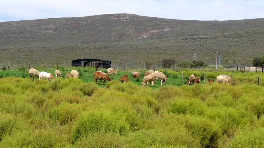 Commercial Property for Sale in Montagu Rural Western Cape